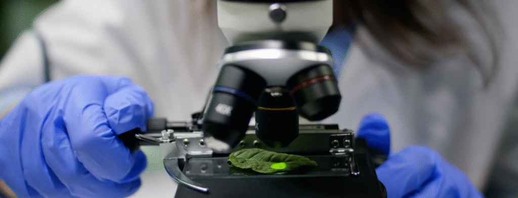 Ciências Biológicas – Biologia (Licenciatura)